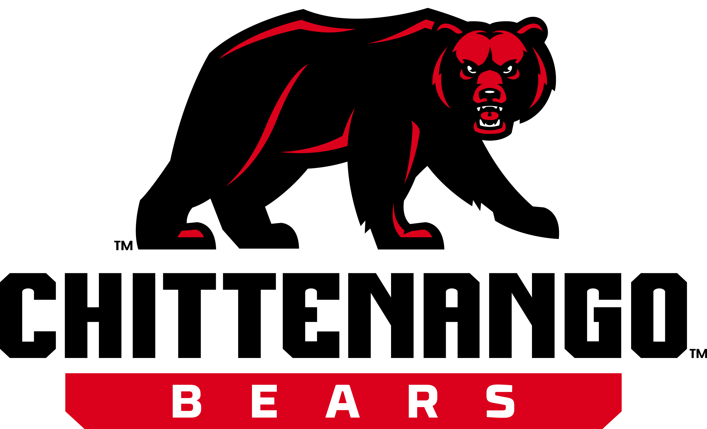 Parent technology survey Chittenango School District